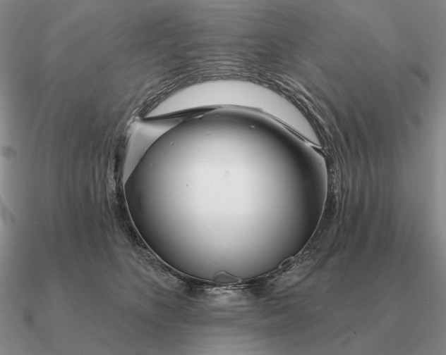 X0000090610516200708071206