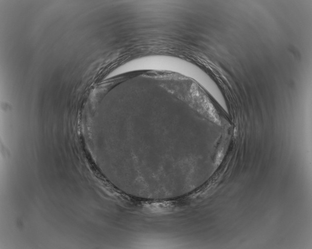 X0000090610517200708071206