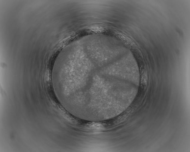 X0000090610518200708071206