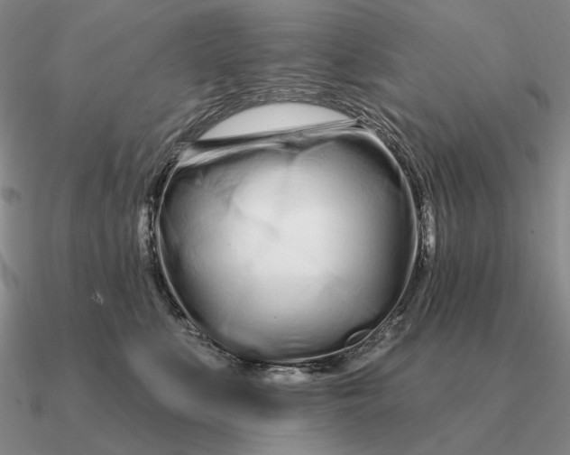 X0000090610519200708071206