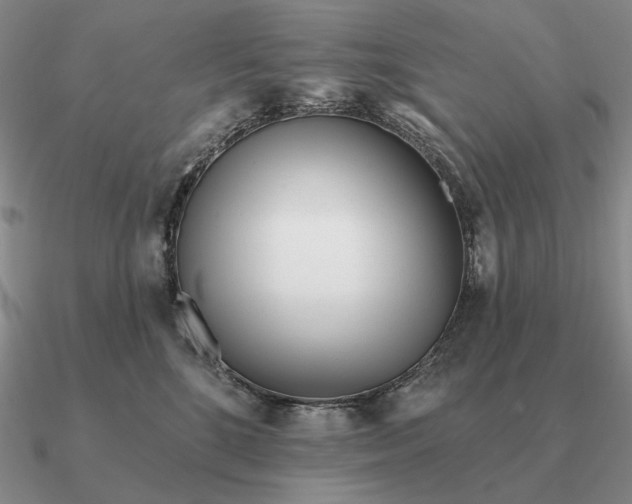 X0000090610520200708071206