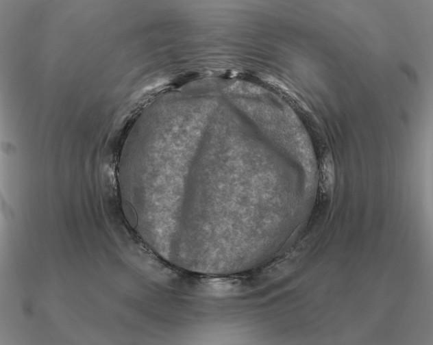 X0000090610522200708071206