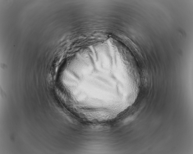 X0000090610523200708071206