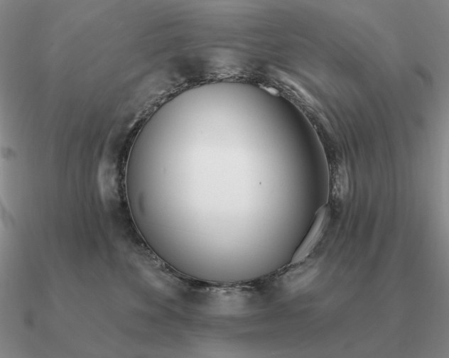 X0000090610524200708071206