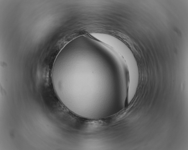 X0000090610525200708071206