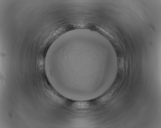 X0000090610526200708071206