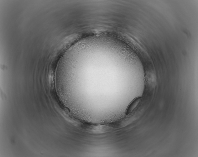 X0000090610527200708071206