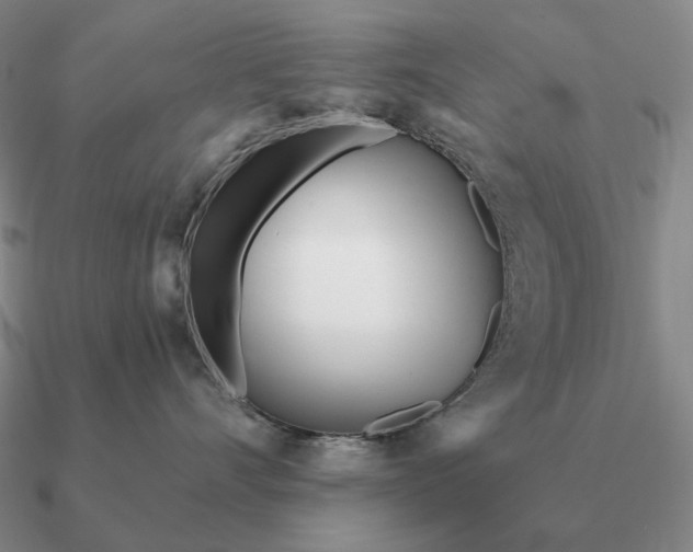 X0000090610528200708071206