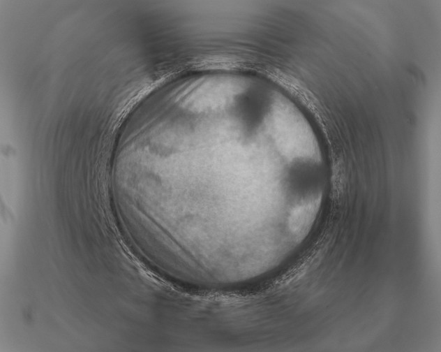 X0000090610529200708071205