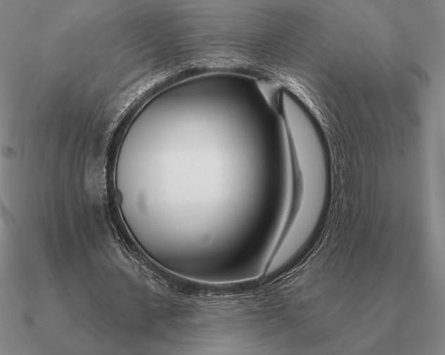 X0000090610531200708071205