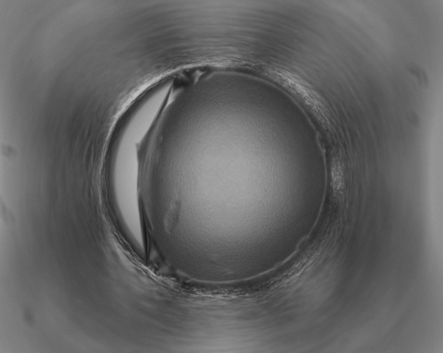 X0000090610532200708071205