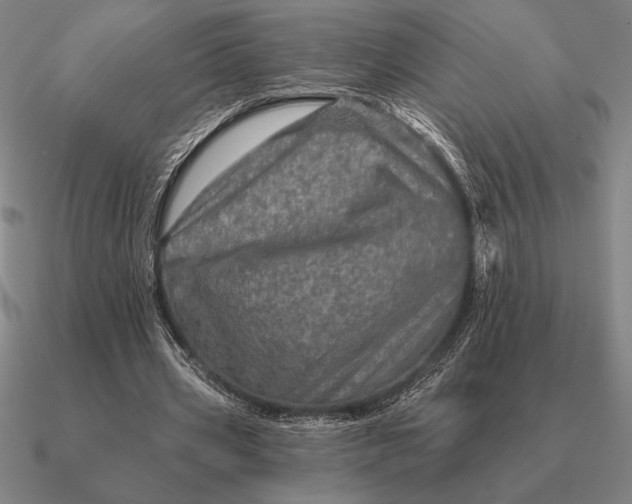 X0000090610533200708071205