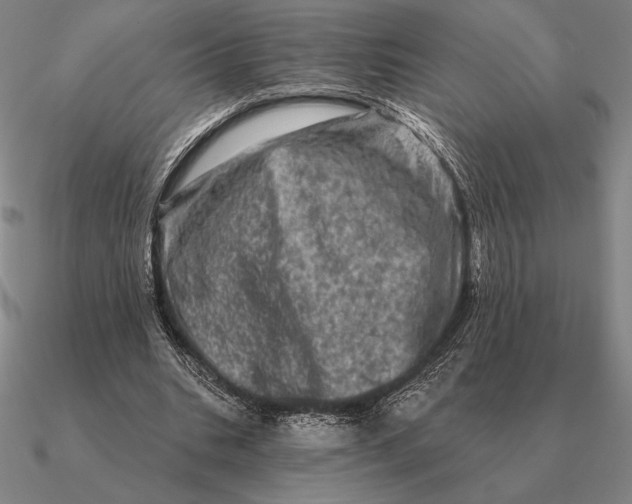 X0000090610535200708071205