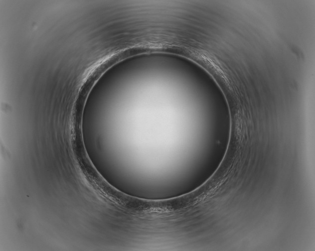 X0000090610536200708071205