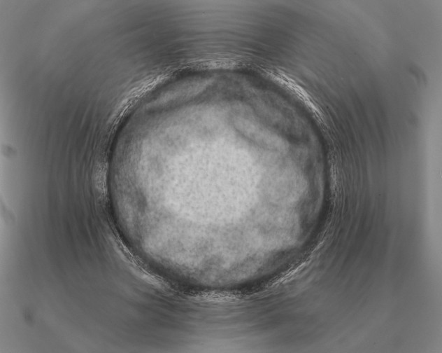 X0000090610537200708071205