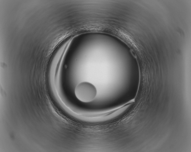 X0000090610538200708071205