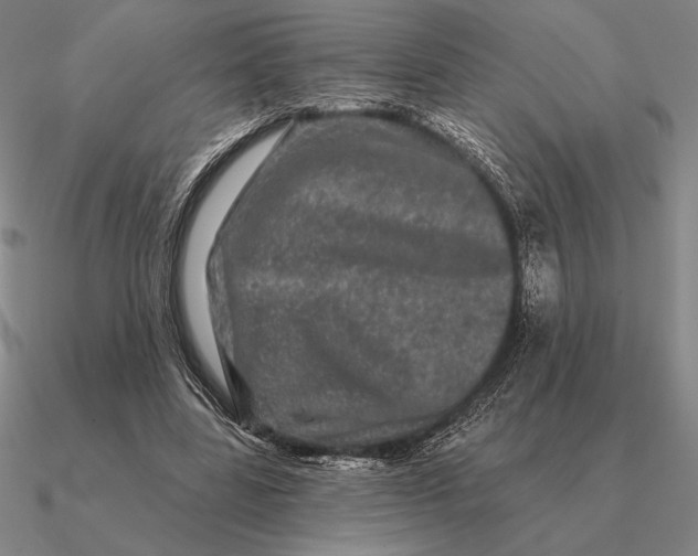 X0000090610539200708071205