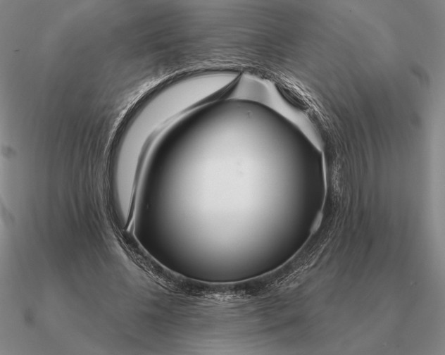 X0000090610540200708071205