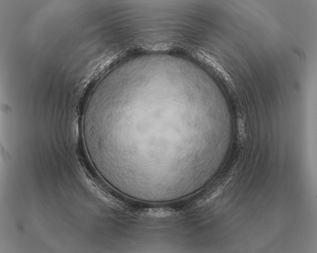 X0000090610541200708071205