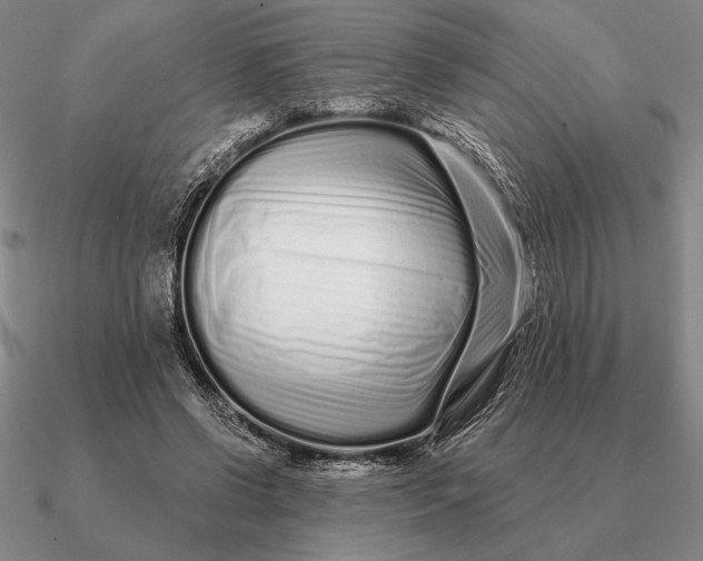 X0000090610542200708071205