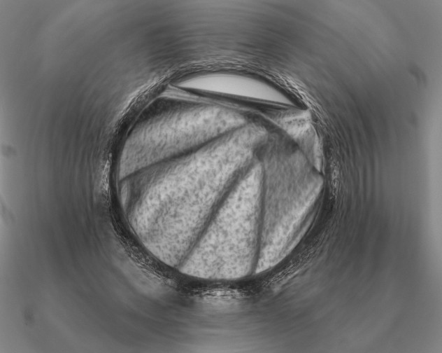 X0000090610543200708071205