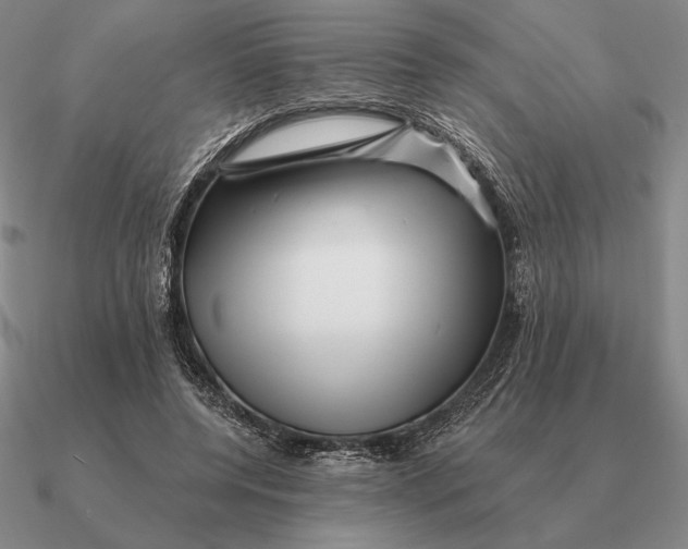 X0000090610544200708071205