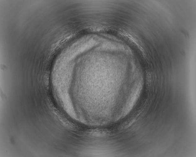 X0000090610545200708071205