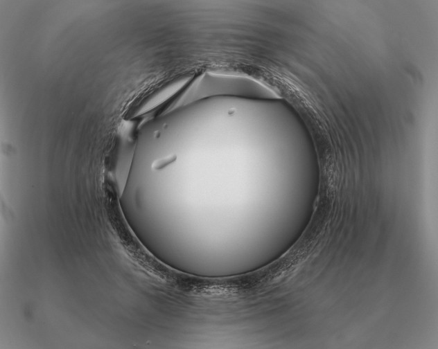 X0000090610546200708071205