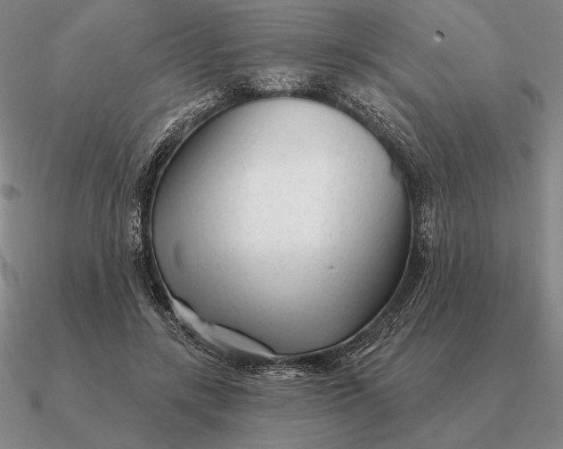 X0000090610547200708071205