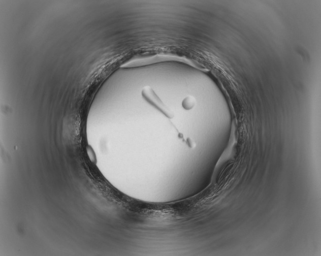 X0000090610548200708071205