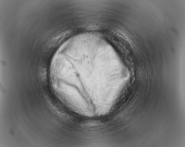 X0000090610549200708071205