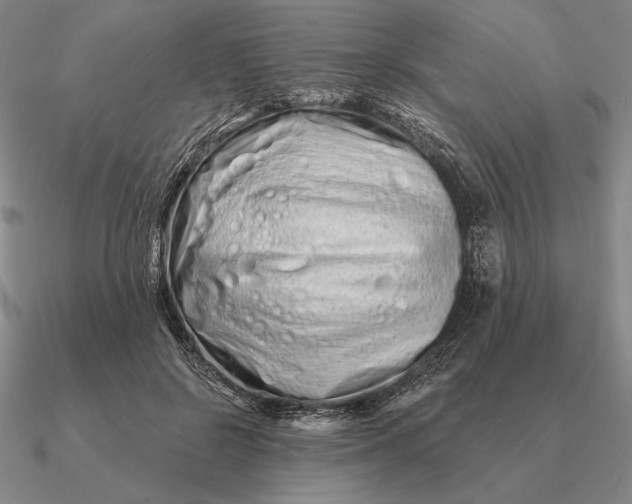 X0000090610550200708071205