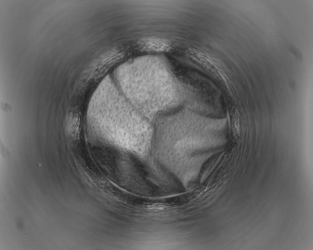 X0000090610551200708071205