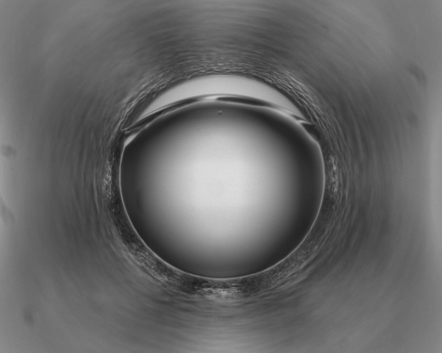 X0000090610552200708071205