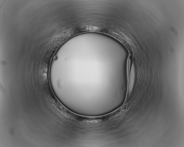 X0000090610553200708071205