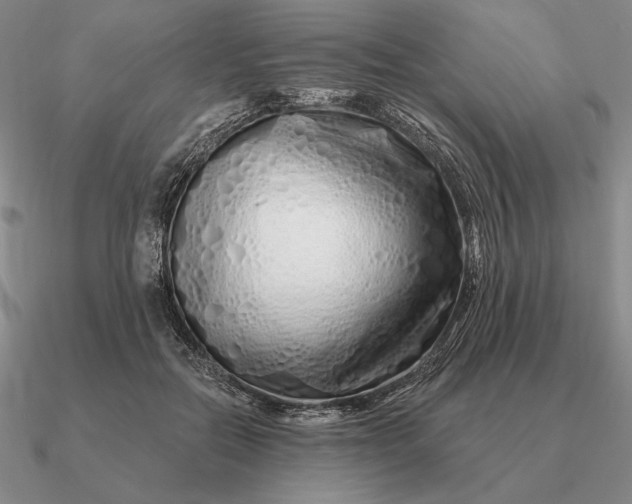 X0000090610554200708071205