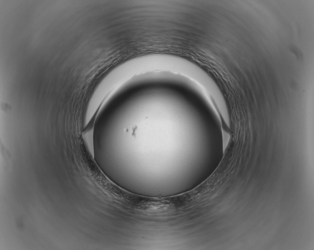 X0000090610555200708071205