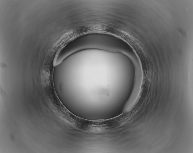 X0000090610556200708071205