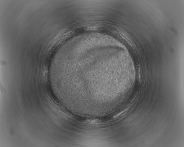 X0000090610557200708071205