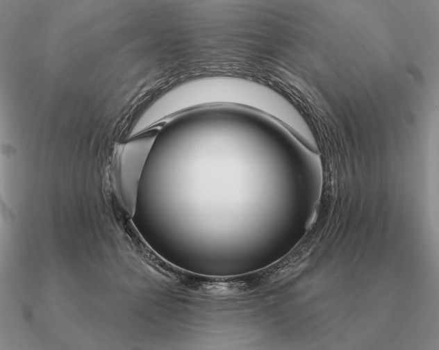 X0000090610558200708071206