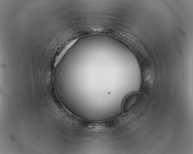 X0000090610559200708071206