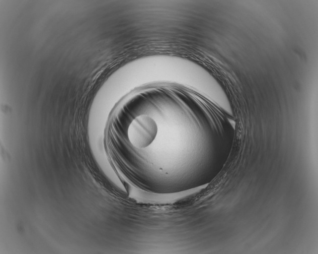 X0000090610560200708071206