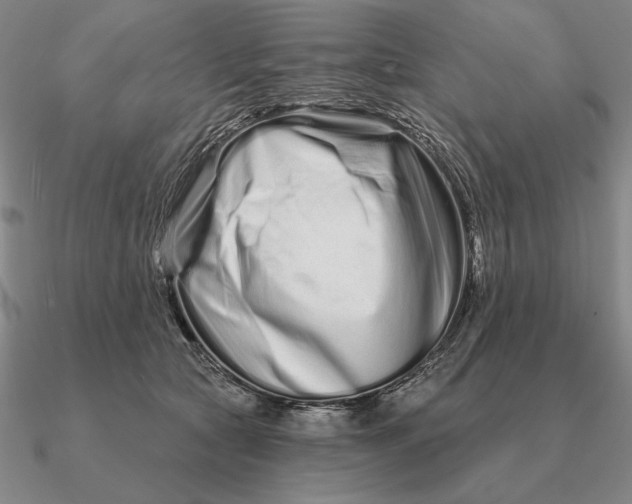 X0000090610561200708071206