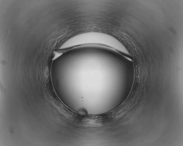 X0000090610563200708071206