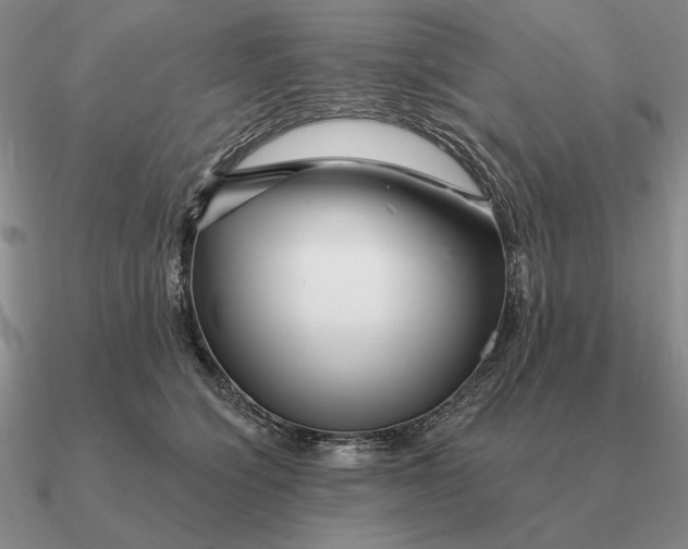 X0000090610564200708071206