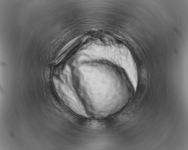 X0000090610565200708071206