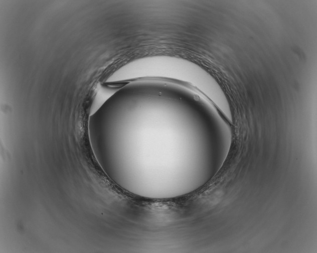 X0000090610566200708071206