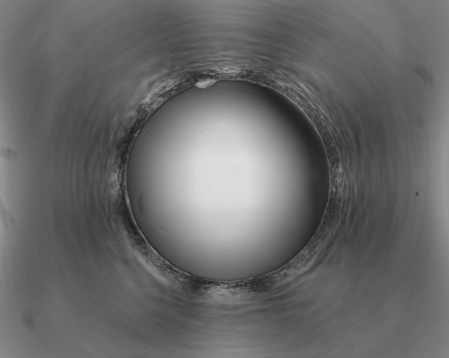 X0000090610568200708071206