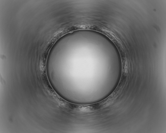 X0000090610569200708071206