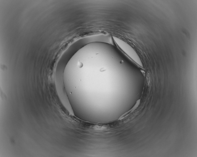 X0000090610570200708071206